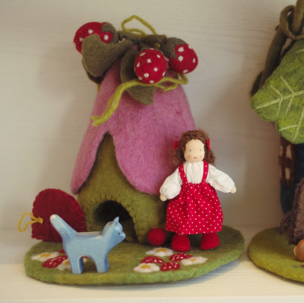 Felt House With Mat