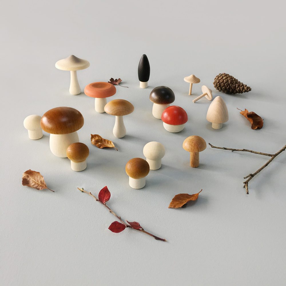 Forest Mushrooms In A Basket