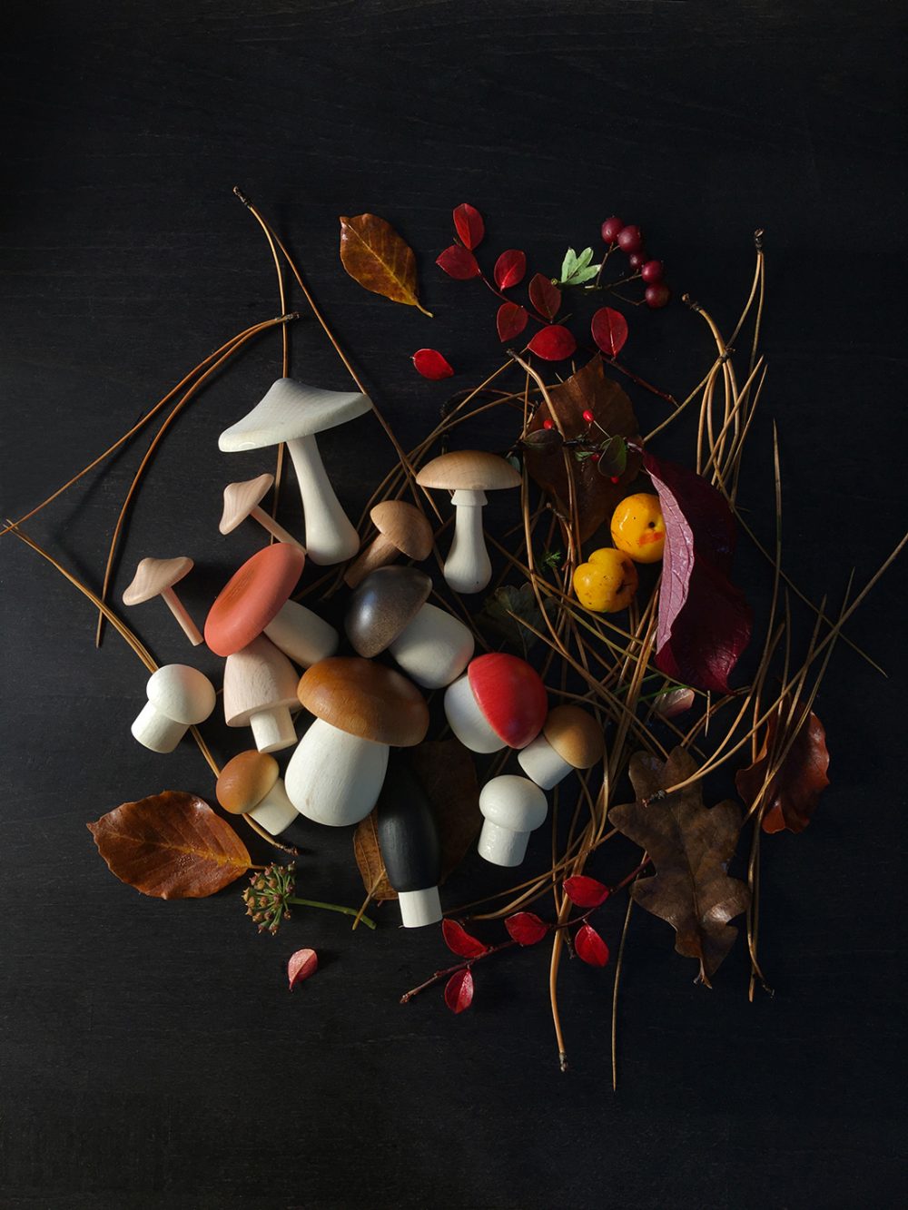 Forest Mushrooms In A Basket
