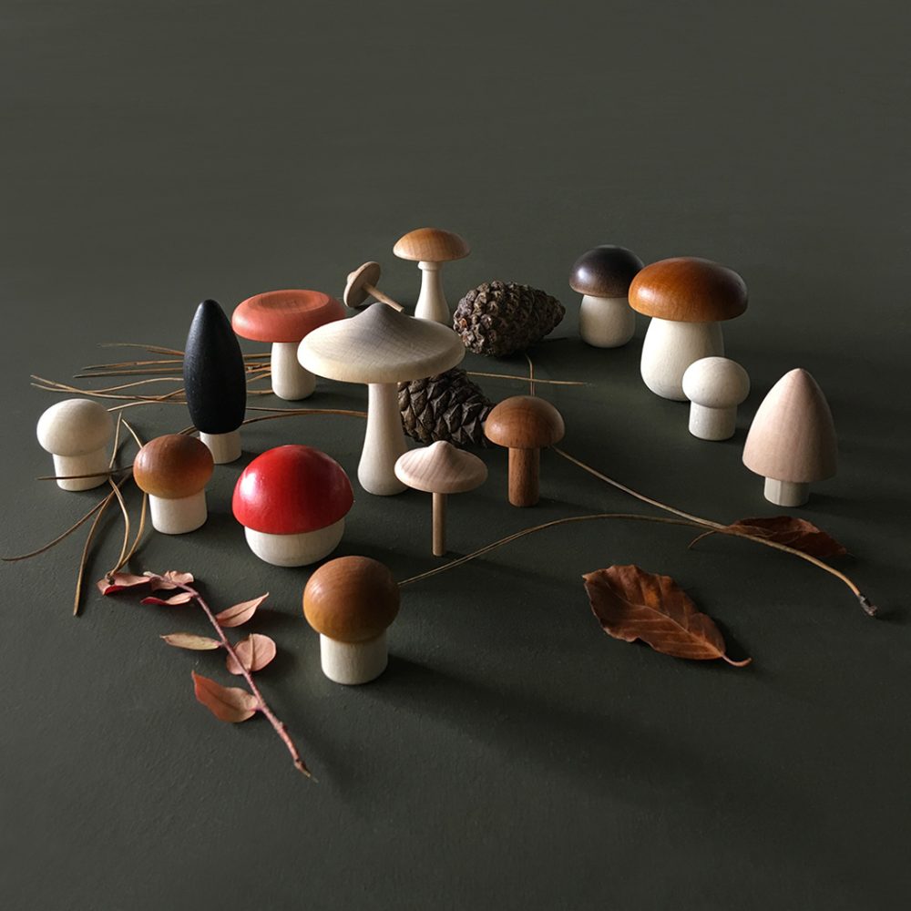 Forest Mushrooms In A Basket