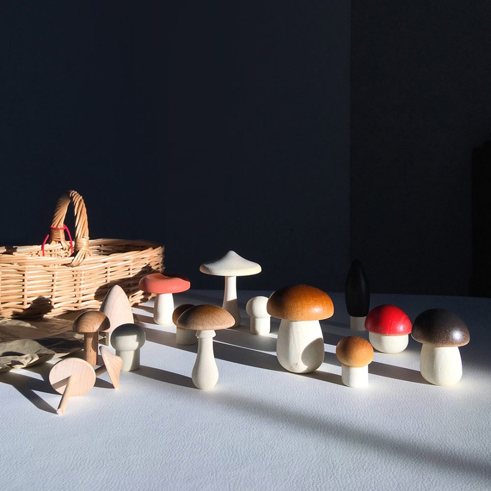 Forest Mushrooms In A Basket
