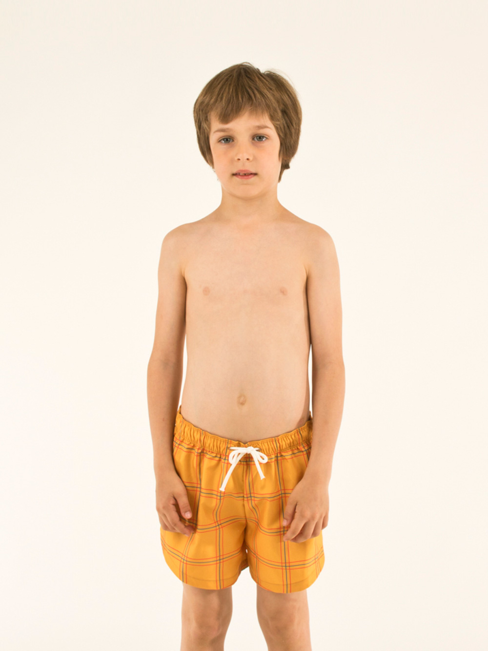 Check Swim Trunks