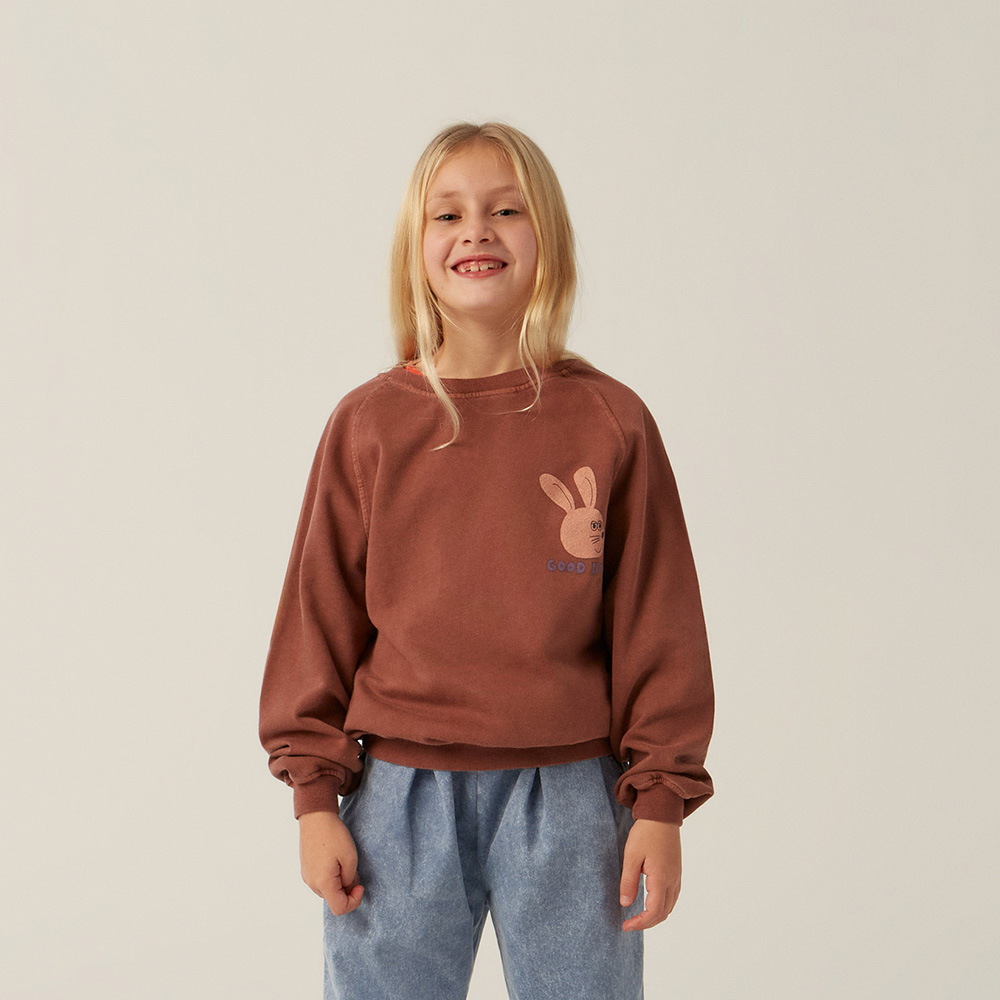 Rabbit Brown Sweatshirt