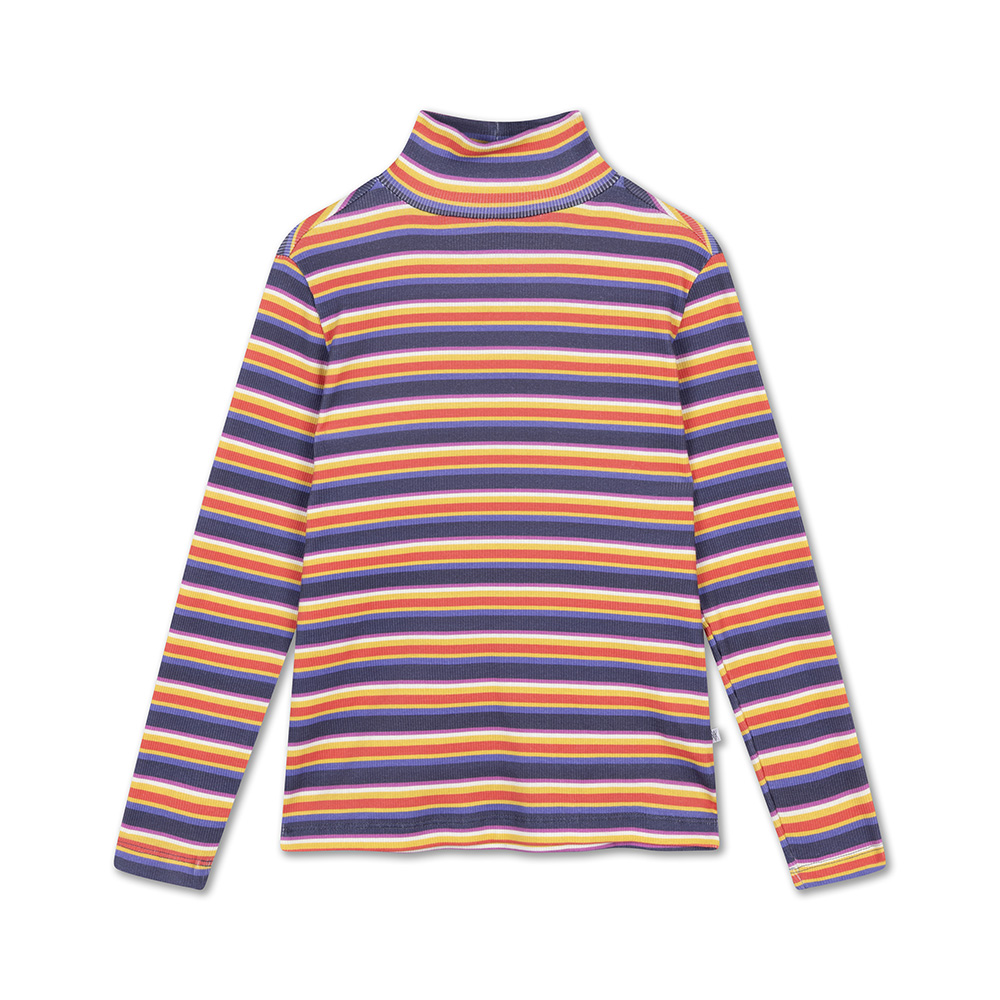 Turtle Neck - Multi Stripe