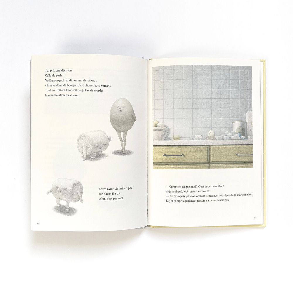 Histoire D'un Oeuf/ Story of An Egg