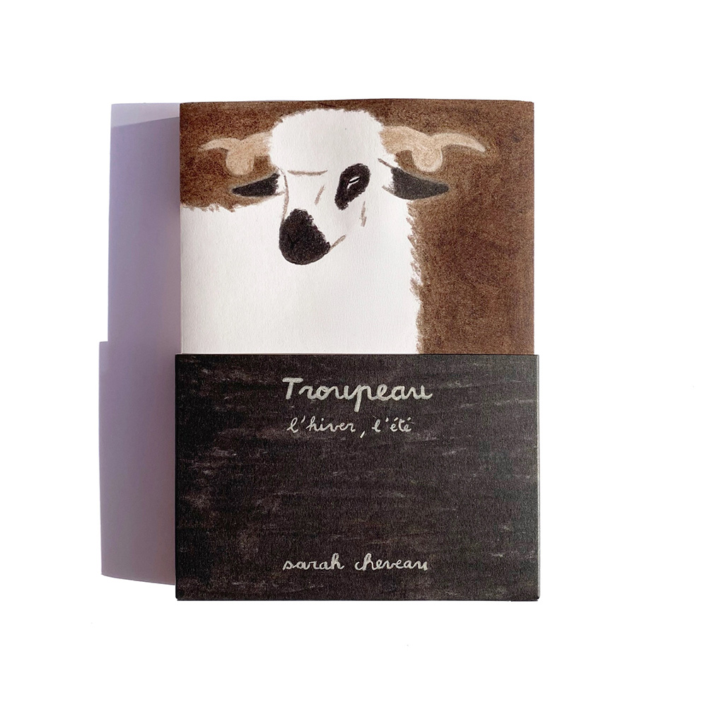 Troupeau/ Herd