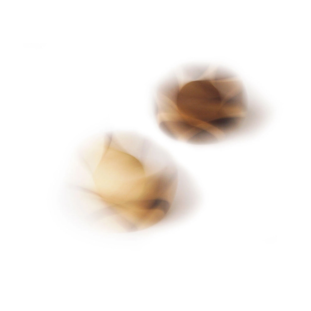 Tip (2 Pcs. Maple / Walnut)