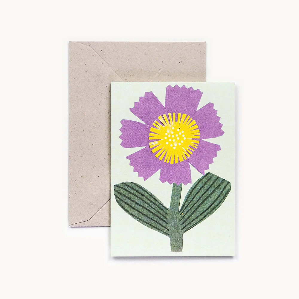 Little Purple Flower