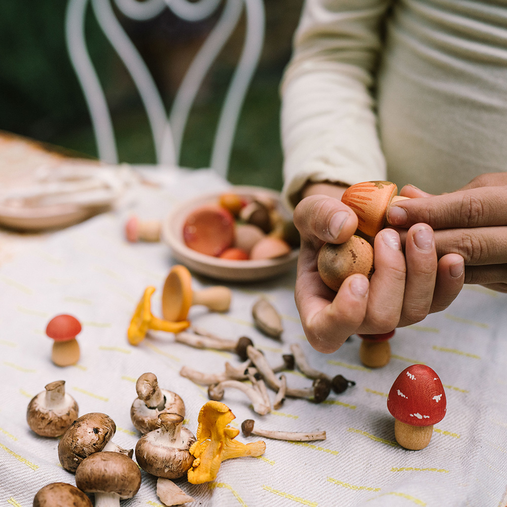 Mushroom Grove Wooden Set