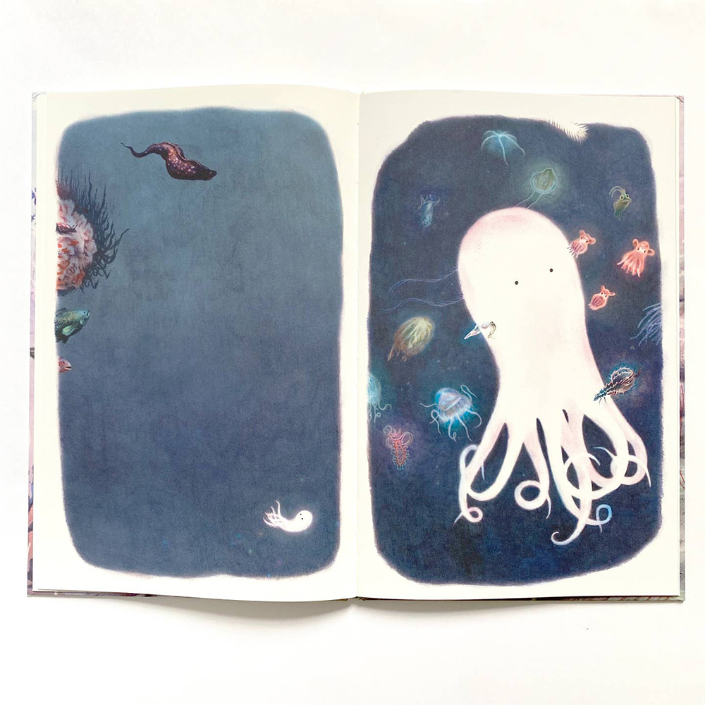 Tom Poulpe / Tom Octopus