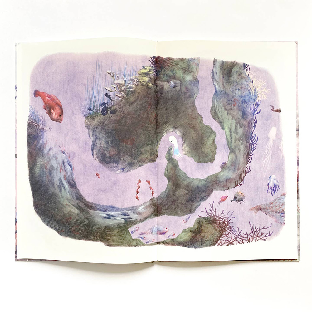 Tom Poulpe / Tom Octopus
