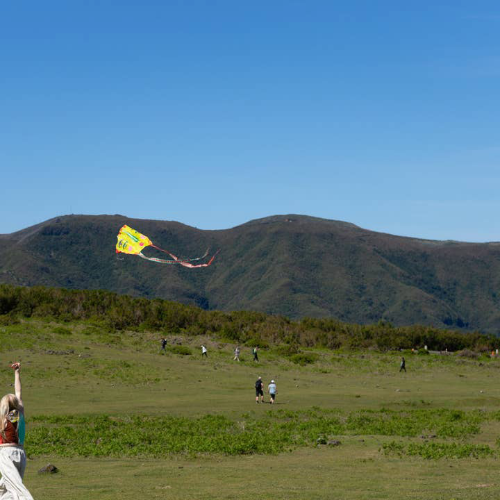 Pocket Kite - Sky Seer