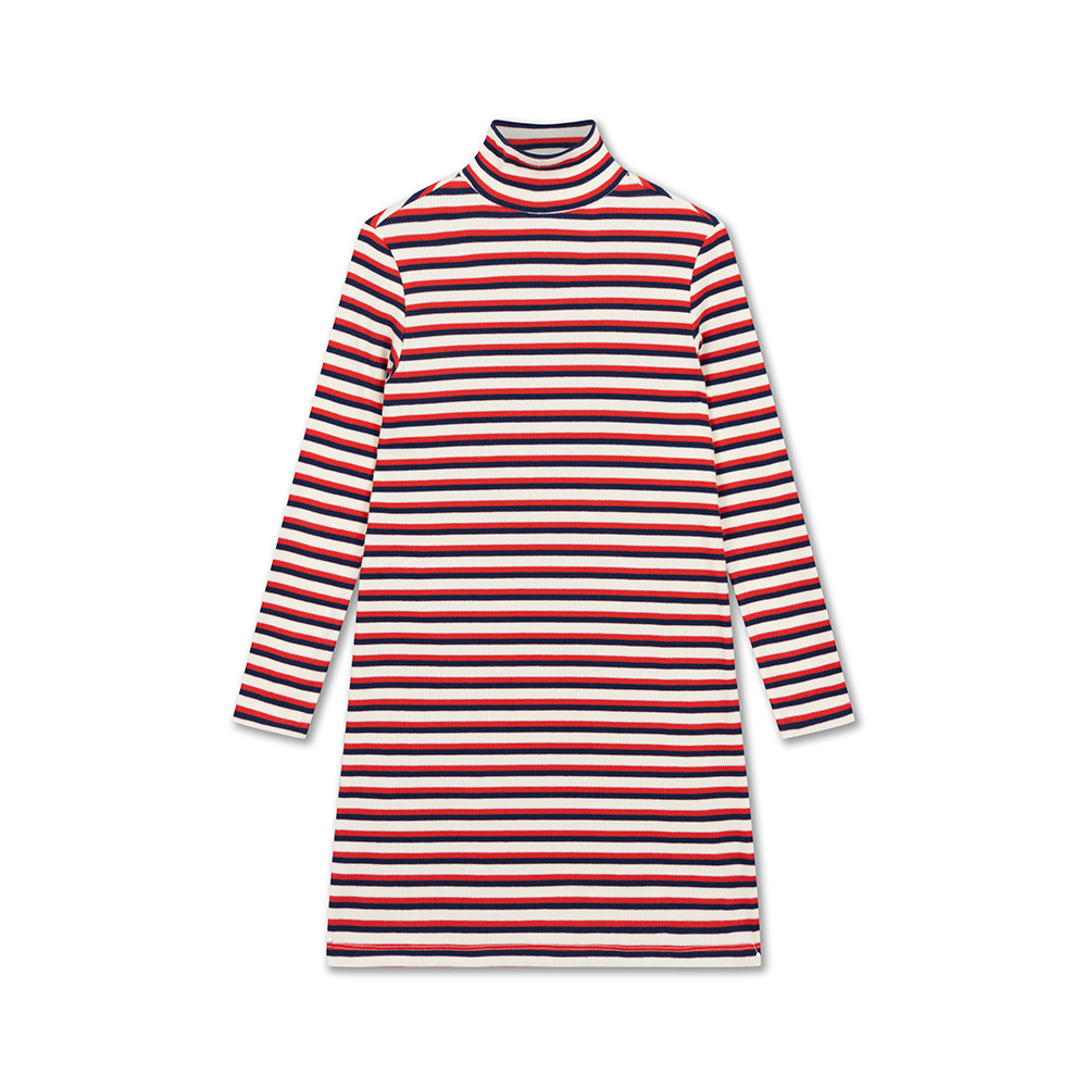 Turtle Tube Dress - Ivy Stripe