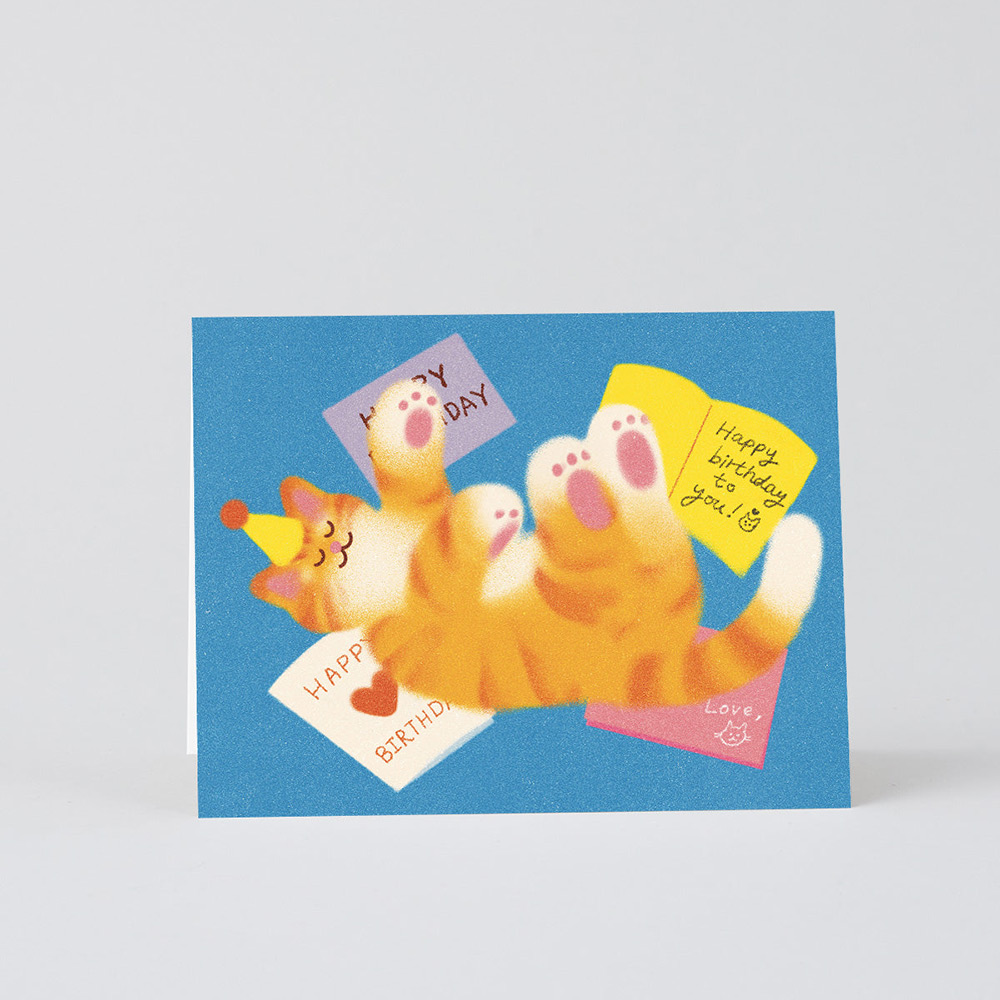 Happy Birthday Cat Letters