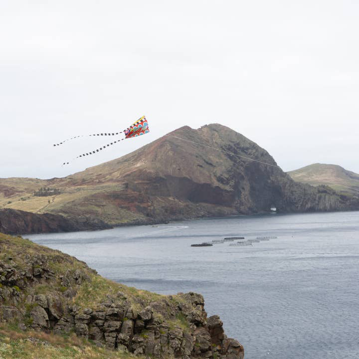 Pocket Kite - Speedy